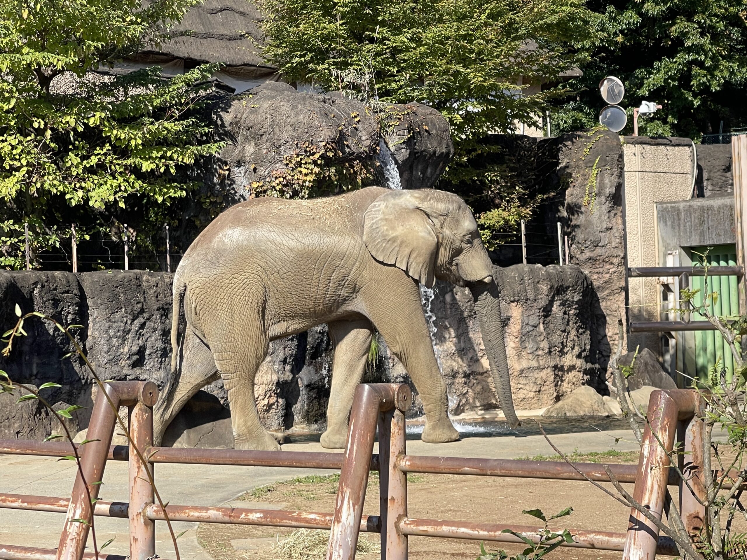 子どものように夢中になれたら